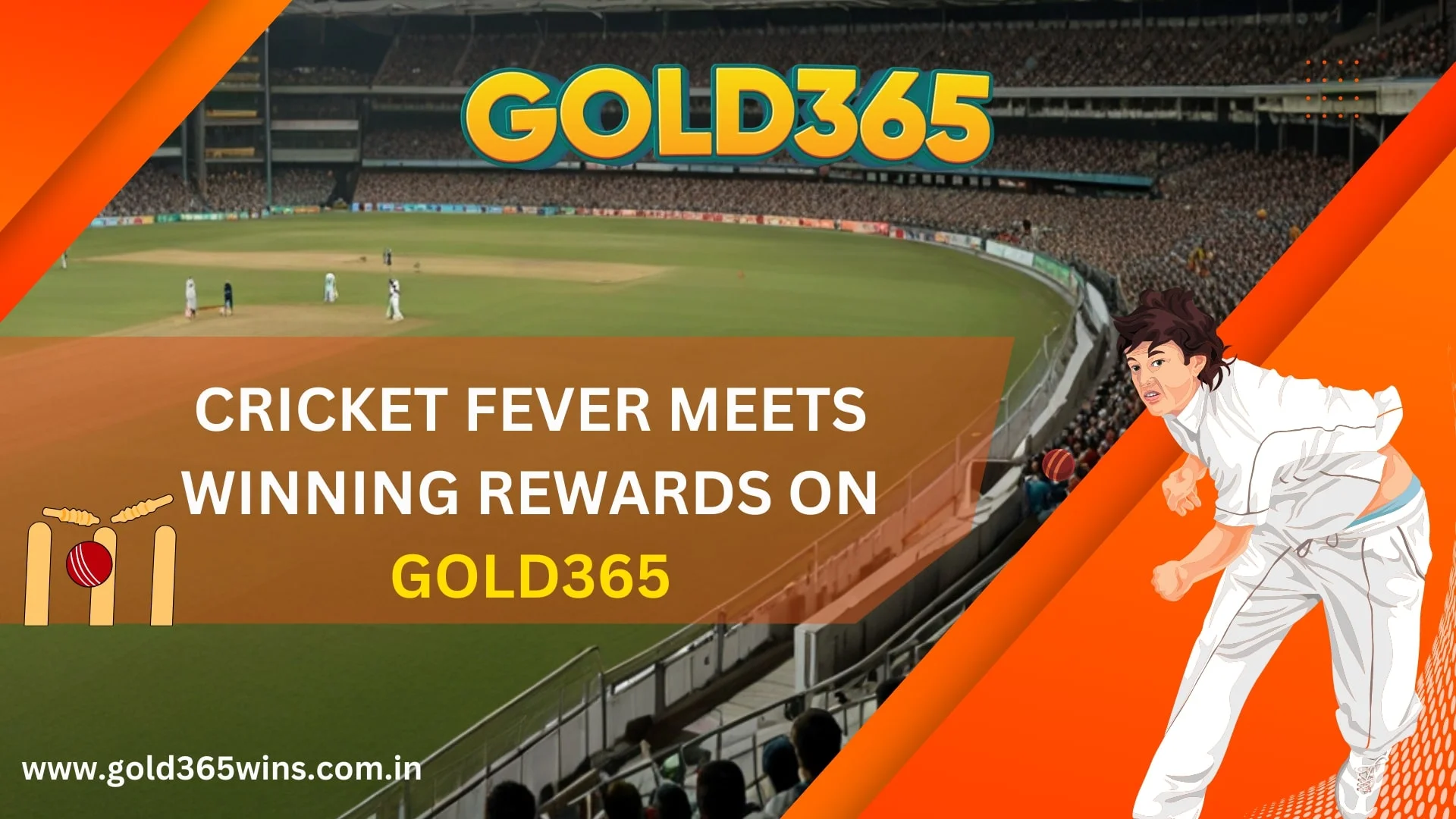 gold365 cricket betting